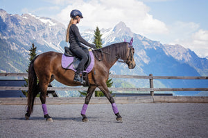 Horseback Riding Tours in Banff - Skuxs Canada