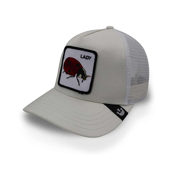 The Lady Bug